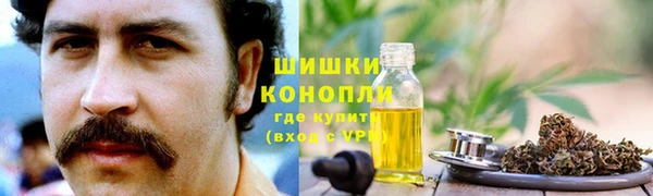 ПСИЛОЦИБИНОВЫЕ ГРИБЫ Абаза