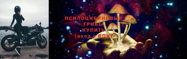 герыч Алексин