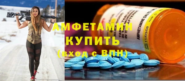 ПСИЛОЦИБИНОВЫЕ ГРИБЫ Абаза