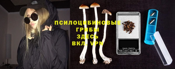 твердый Алексеевка