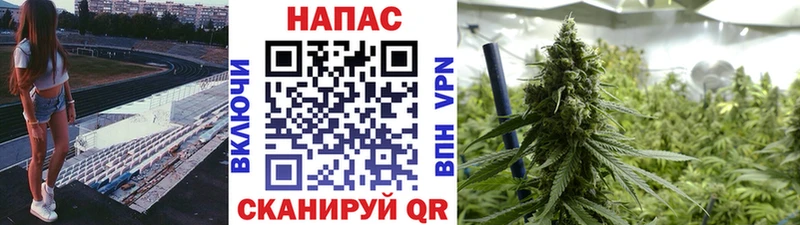 сколько стоит  Ангарск  Шишки марихуана Amnesia 